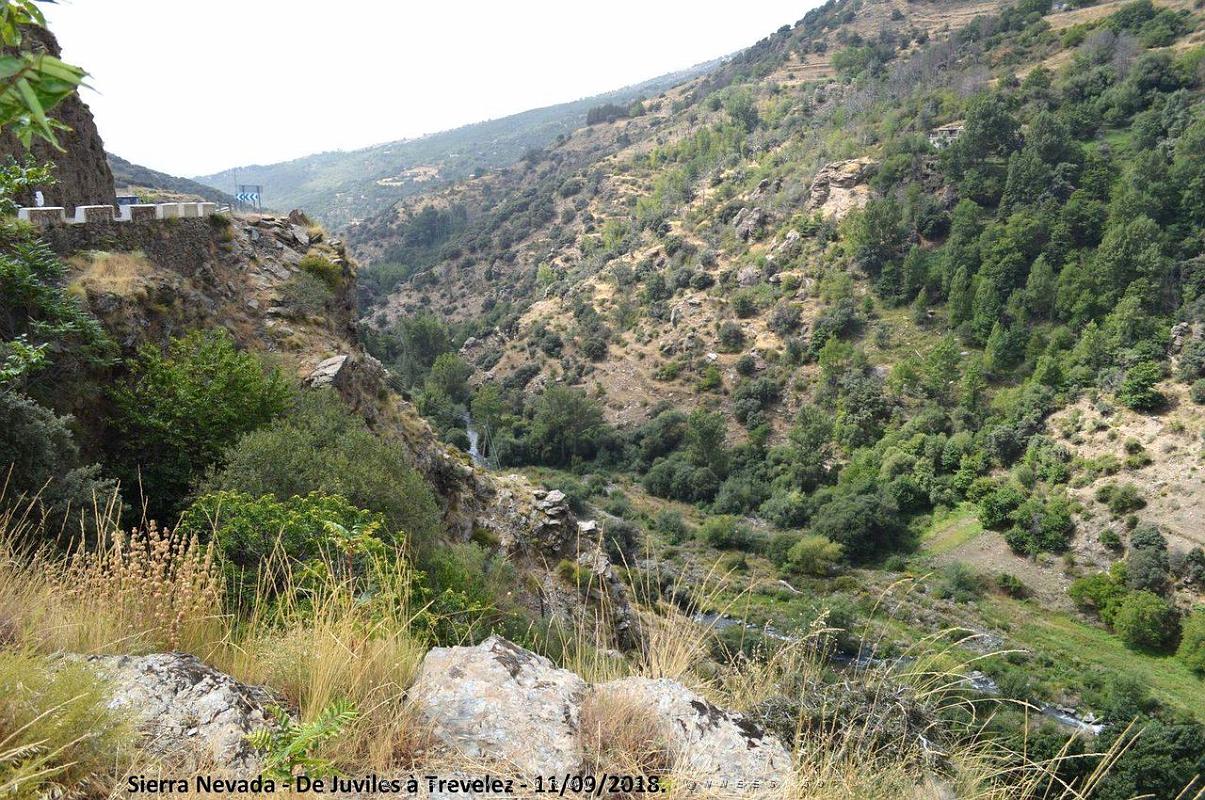 24 SIERRA NEVADA DE UGIJAR A TREVELEZ (105).JPG